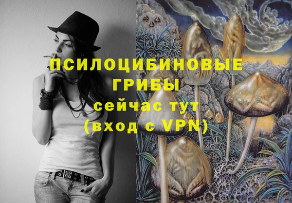 тгк Бердск