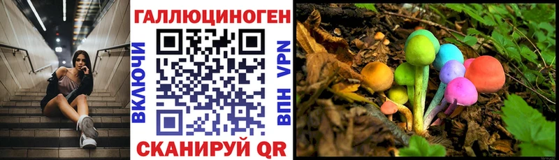 Псилоцибиновые грибы прущие грибы Новосибирск
