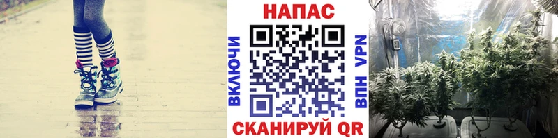 Марихуана марихуана  Новосибирск 